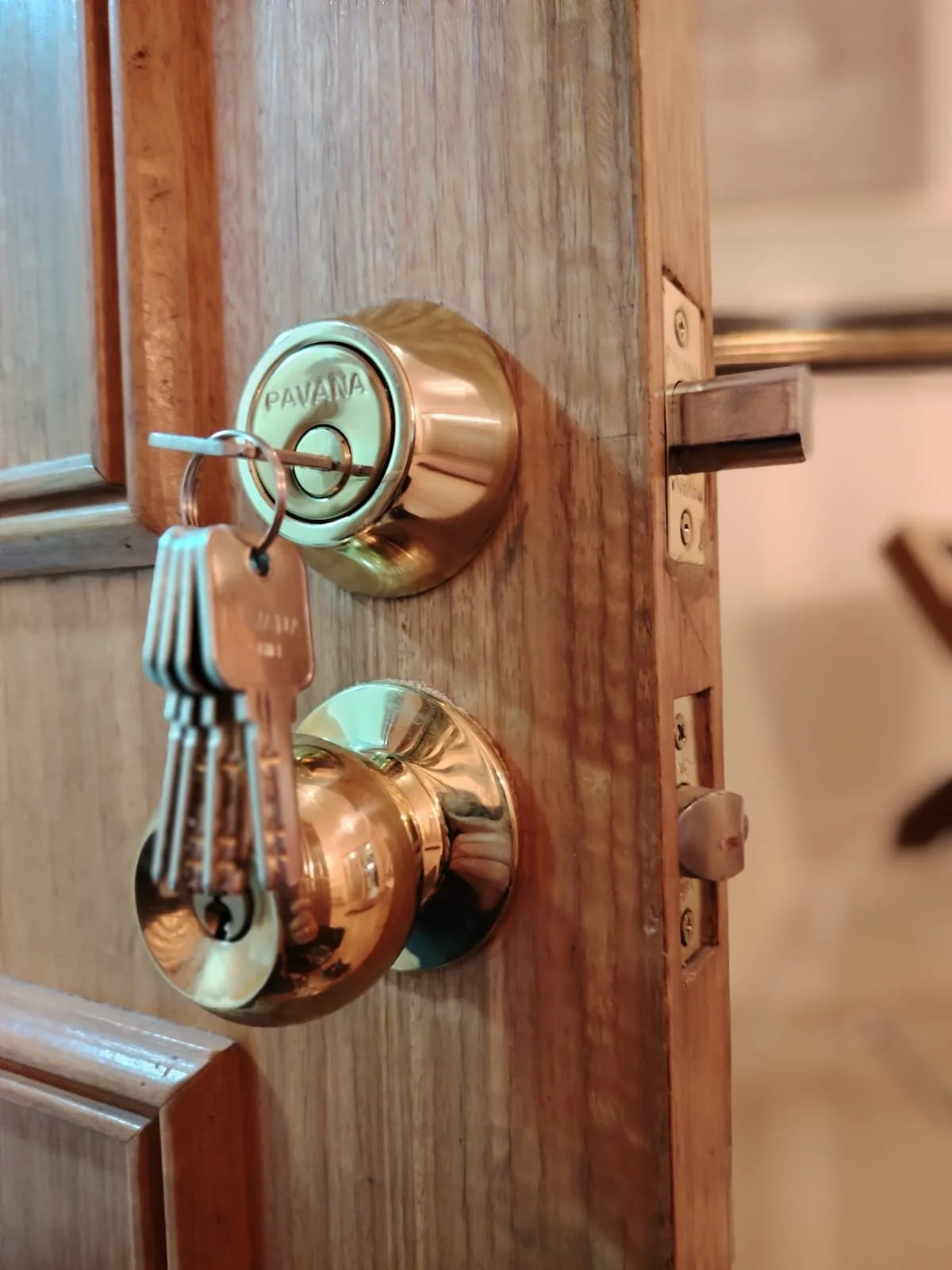 Detalle del cilindro y los pernos de una cerradura recién montada